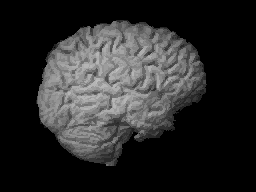 BrainMind.com